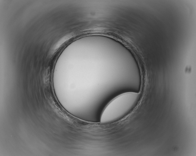 X0000113621450200909181104