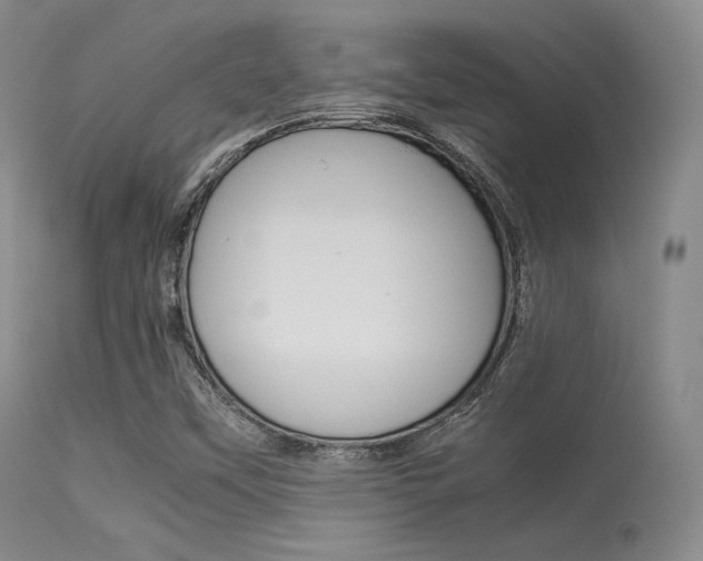 X0000113621451200909181104