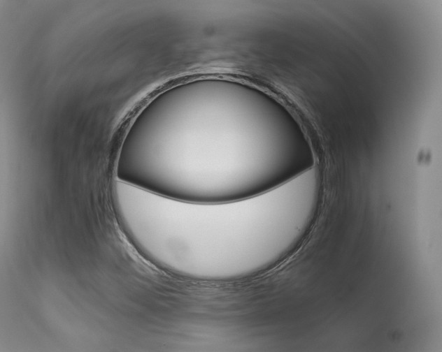 X0000113621452200909181104