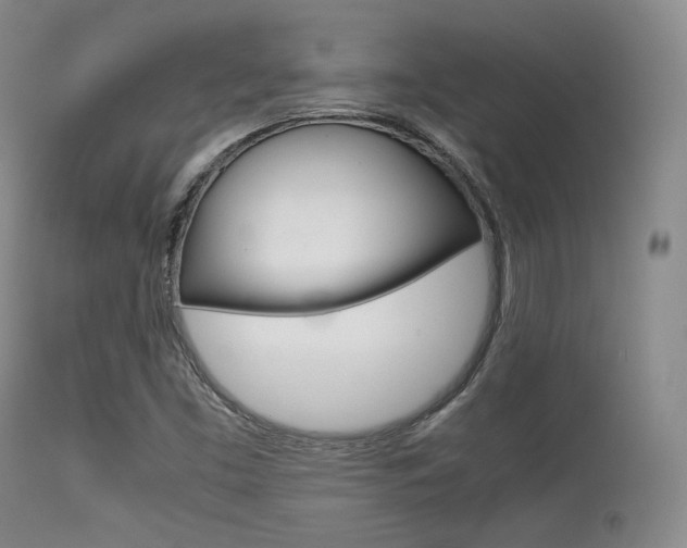 X0000113621453200909181104