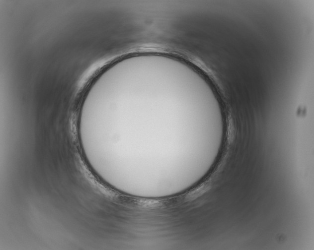X0000113621454200909181104