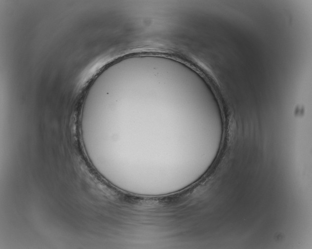 X0000113621455200909181104