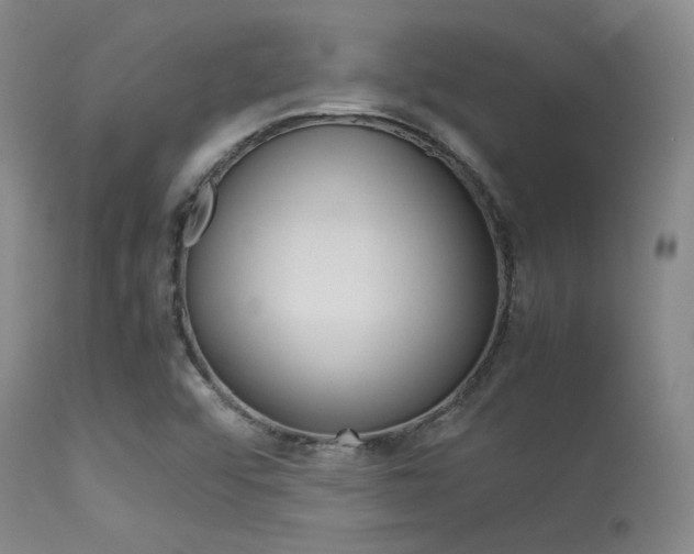 X0000113621456200909181104