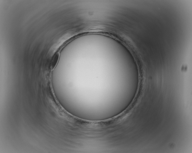 X0000113621457200909181104