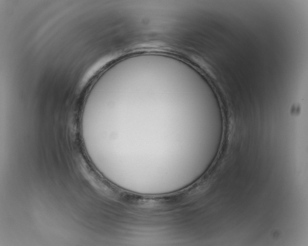 X0000113621458200909181104