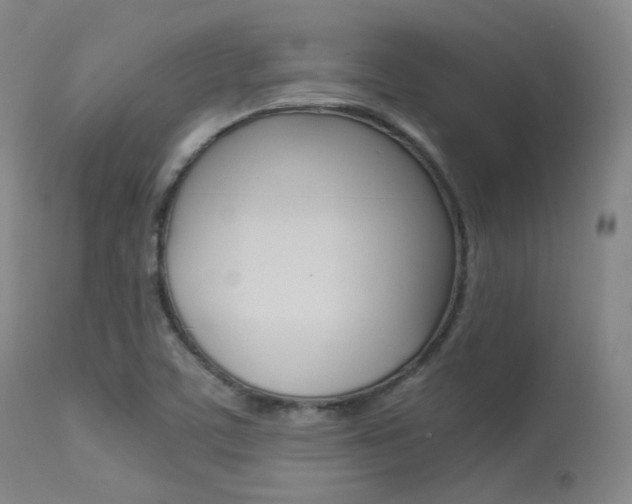 X0000113621459200909181104