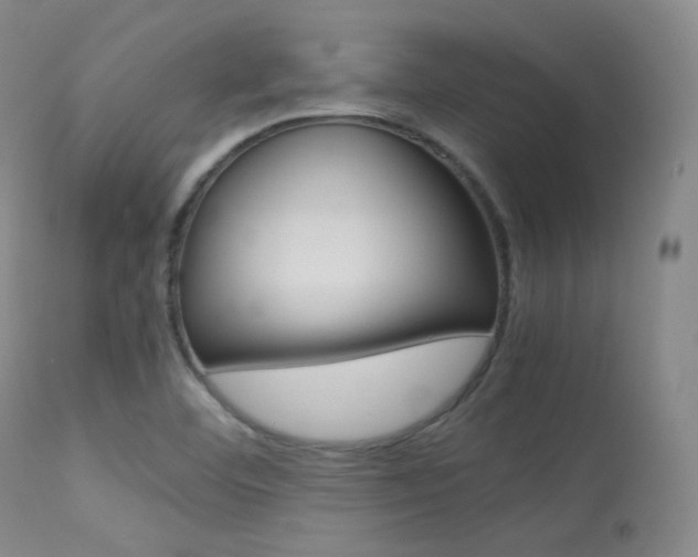 X0000113621460200909181104