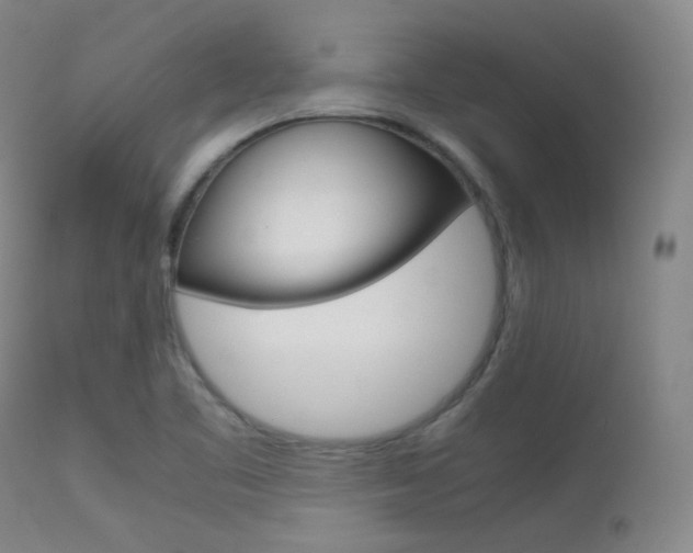 X0000113621461200909181104