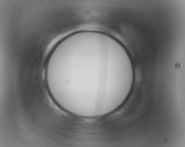 X0000113621462200909181104