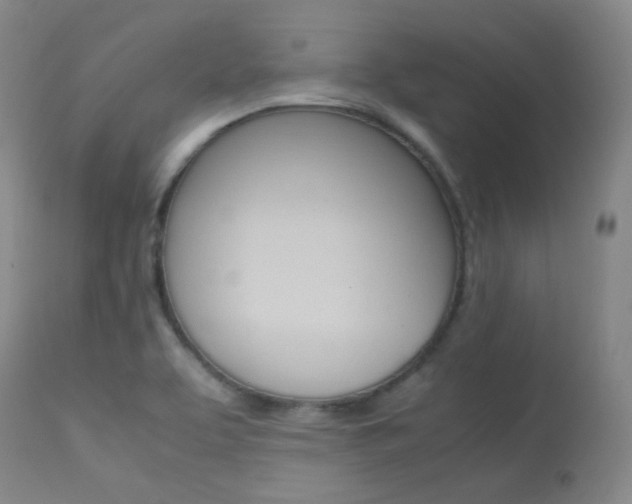 X0000113621463200909181104