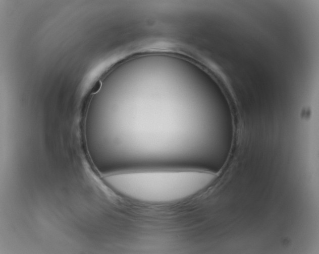X0000113621464200909181104