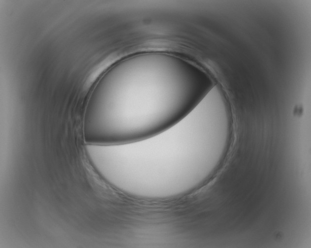 X0000113621465200909181104