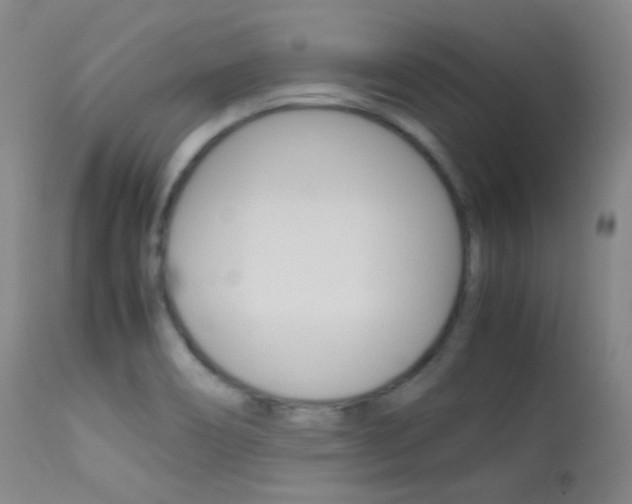 X0000113621466200909181104