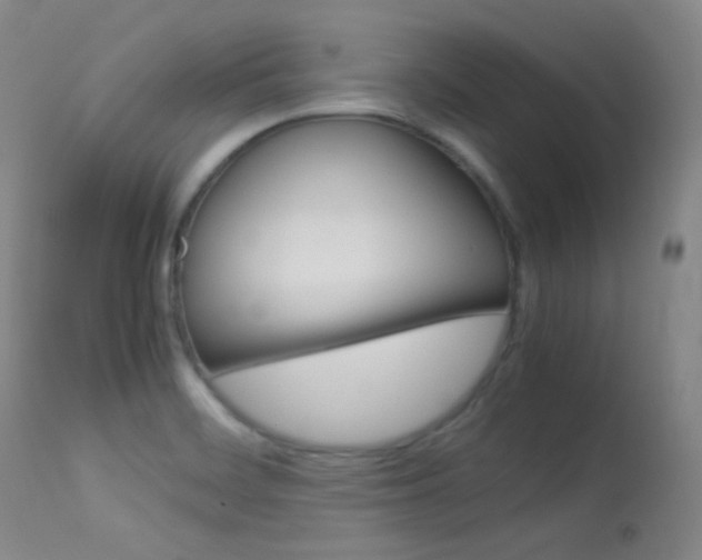 X0000113621468200909181104