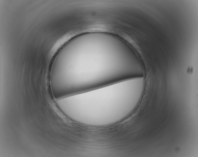 X0000113621469200909181104