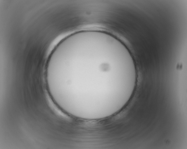 X0000113621470200909181104