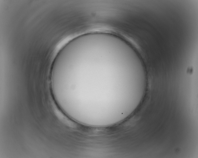 X0000113621471200909181104