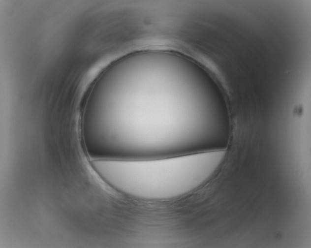 X0000113621472200909181104
