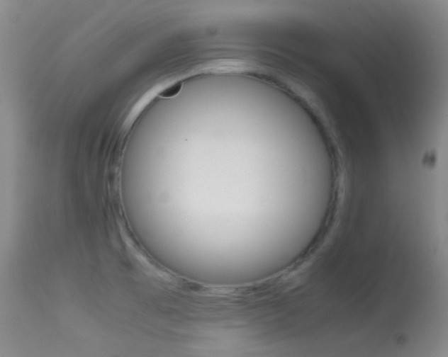 X0000113621473200909181104