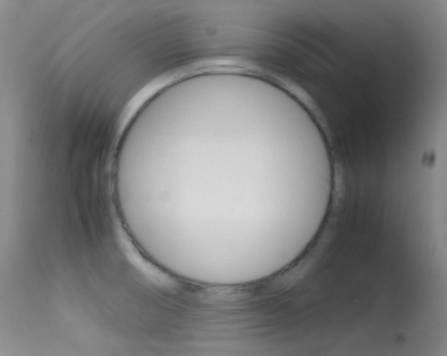 X0000113621474200909181104