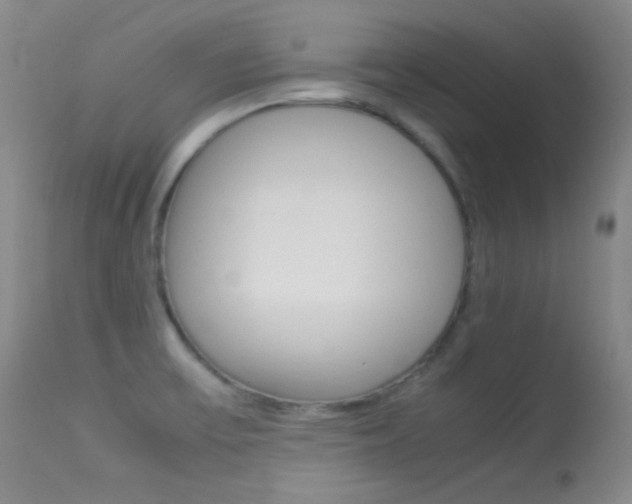 X0000113621475200909181104