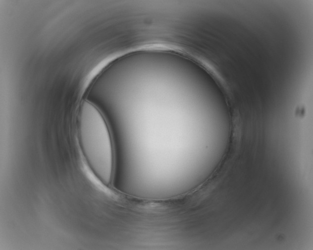 X0000113621476200909181104