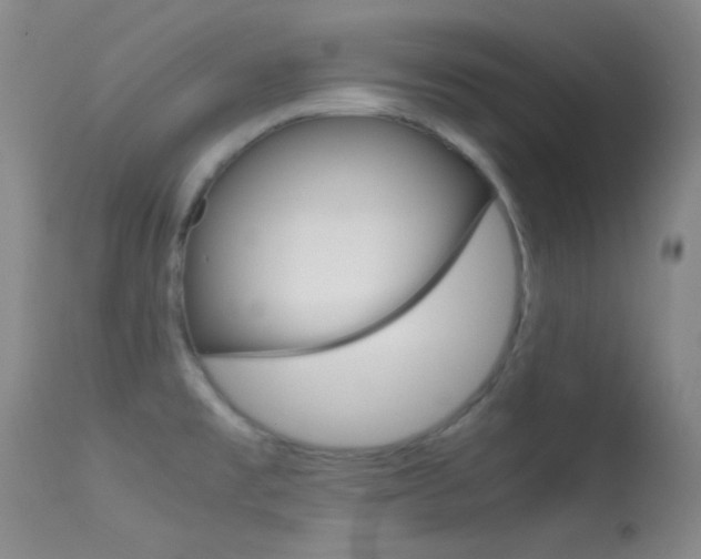 X0000113621477200909181104
