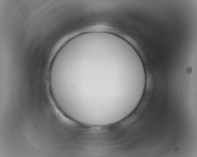 X0000113621478200909181104