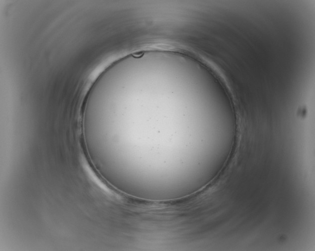 X0000113621479200909181104