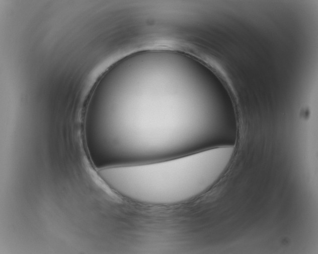 X0000113621480200909181104