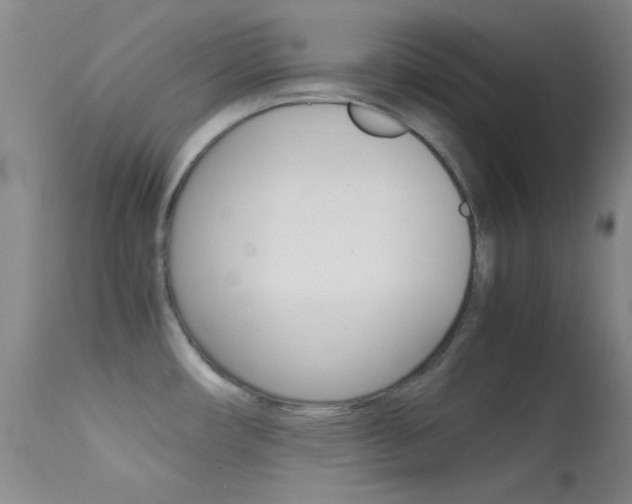 X0000113621482200909181104