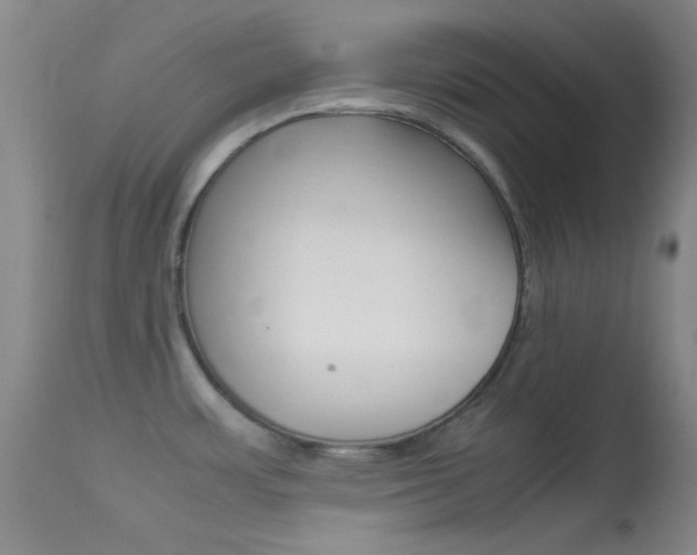 X0000113621483200909181104