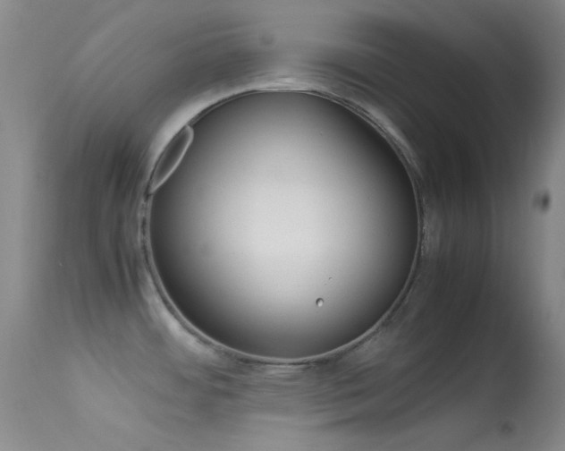 X0000113621484200909181104
