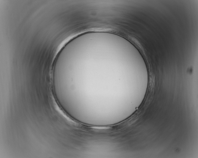 X0000113621487200909181104