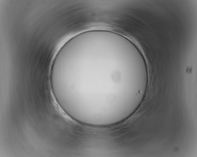 X0000113621488200909181104