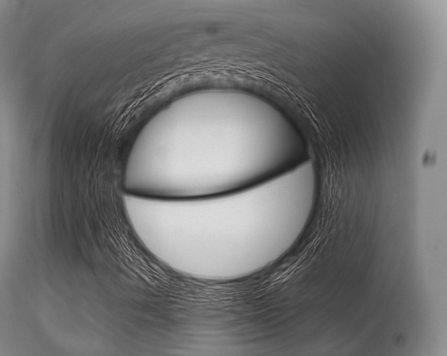 X0000113621490200909181103