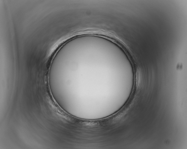 X0000113621501200909181103