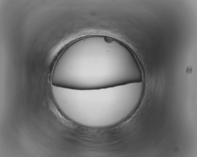 X0000113621503200909181103
