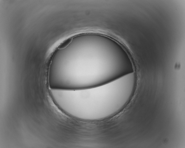 X0000113621504200909181103