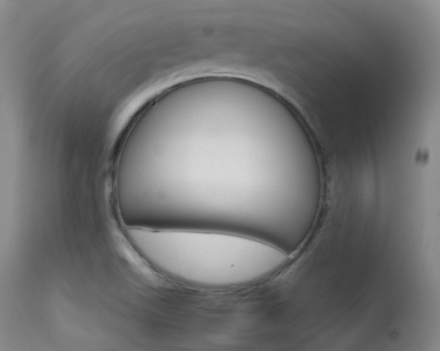 X0000113621511200909181103