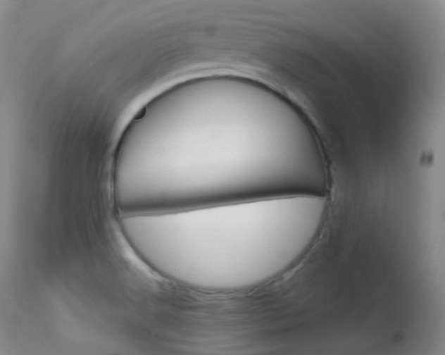 X0000113621516200909181103