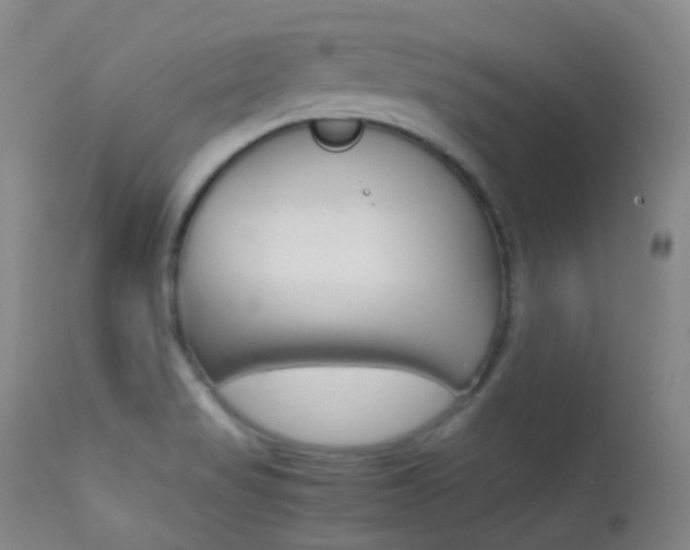 X0000113621517200909181103