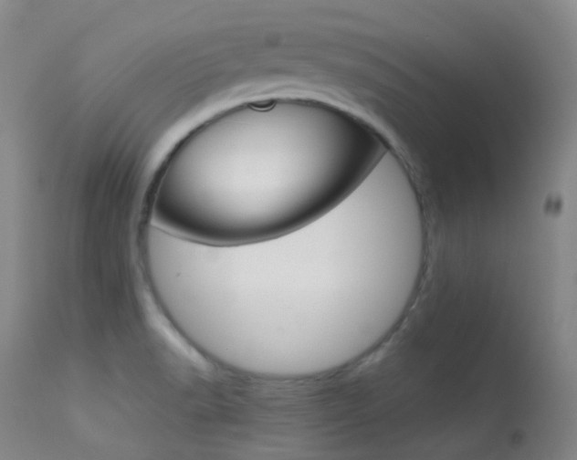 X0000113621518200909181103