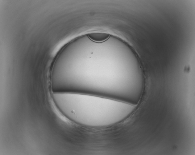 X0000113621519200909181103