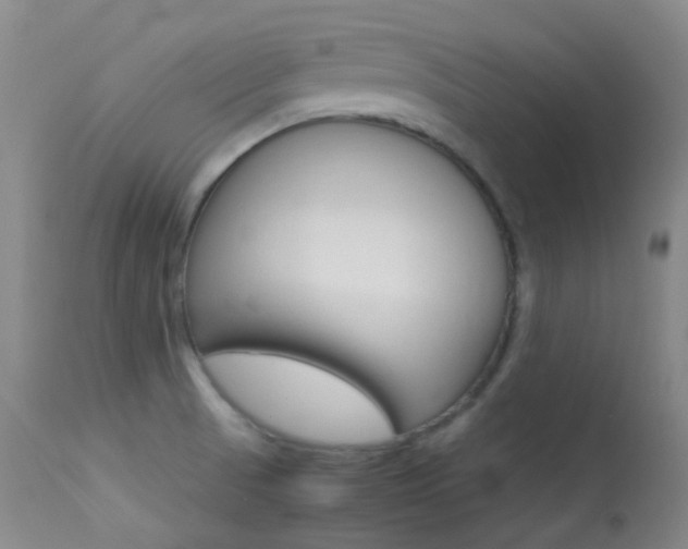 X0000113621521200909181104