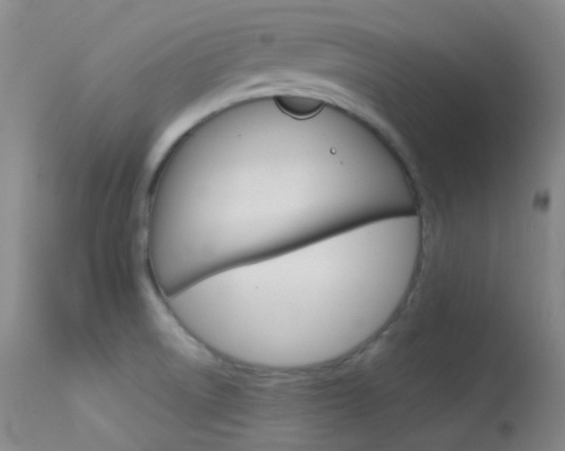 X0000113621522200909181104