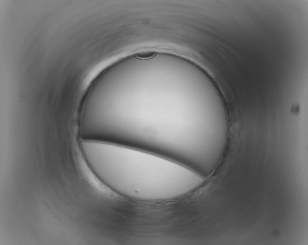 X0000113621523200909181104