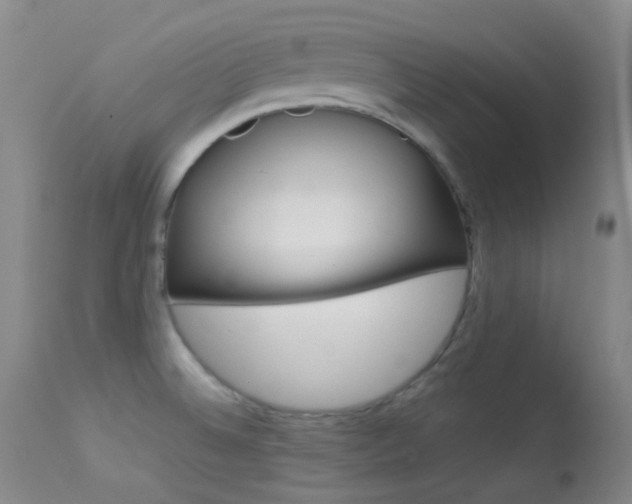 X0000113621524200909181104