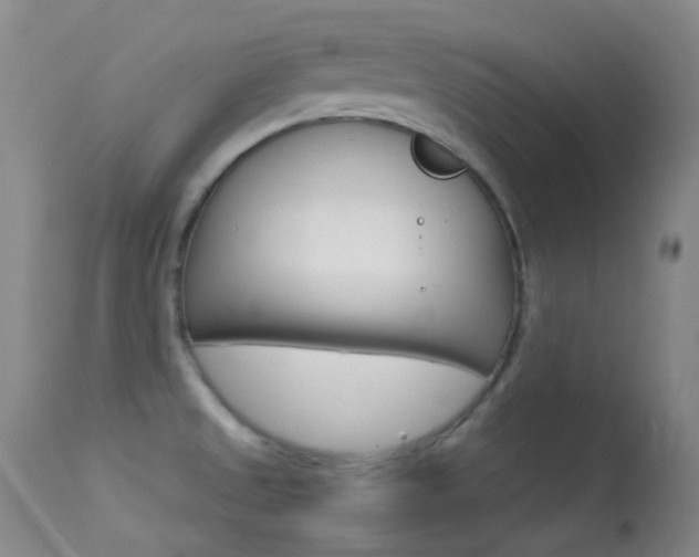 X0000113621525200909181104