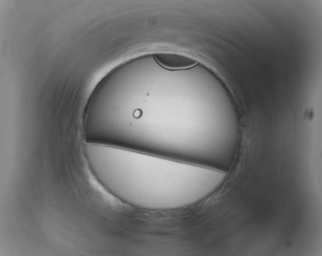 X0000113621527200909181104